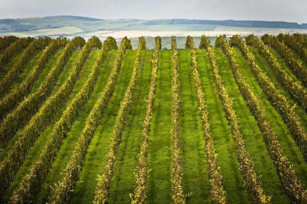 Wine Wellness Hotel Amande Hustopeče Extérieur photo
